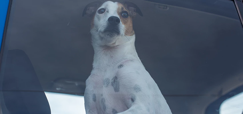 Car Lockout Solutions in National City, California