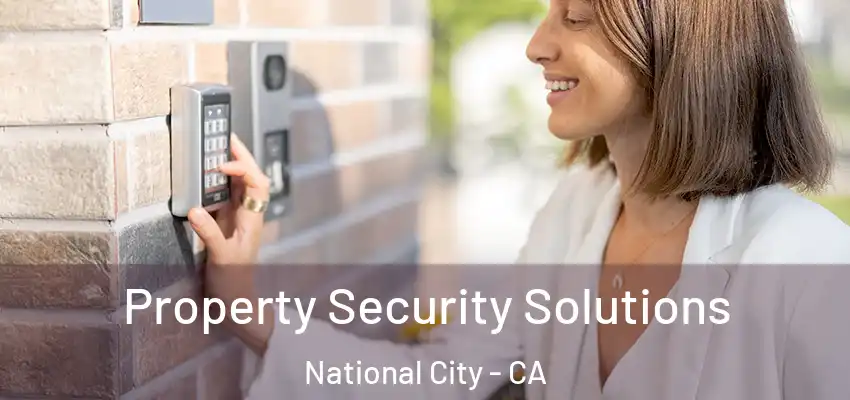  Property Security Solutions National City - CA